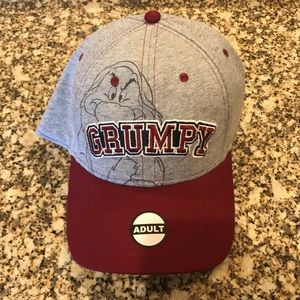 NWT Disney Grumpy Dwarf Hat